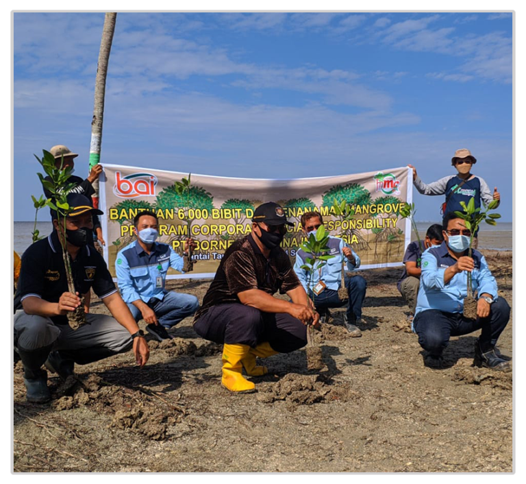 Penanaman 22.000 Bibit Mangrove Wujud Komitmen Lestarikan Lingkungan